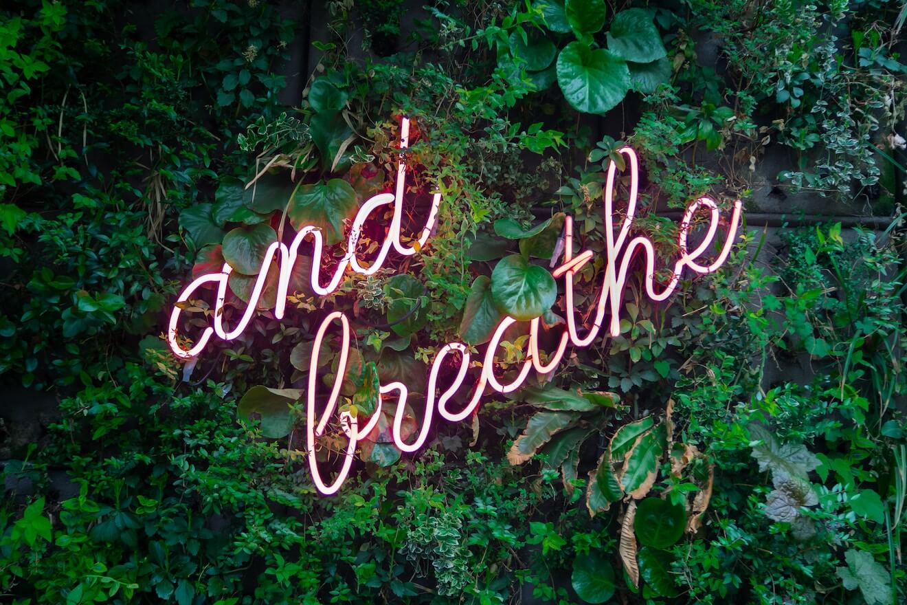 "and breathe" in neon on a ivy wall